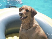 /album/galeria-de-fotos/barco-jpg/