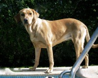 /album/galeria-de-fotos/borda2-jpg/