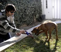 /album/galeria-de-fotos/brinca-jpg/