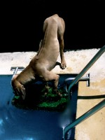 /album/galeria-de-fotos/debrucado-jpg/