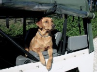 /album/galeria-de-fotos/dsc01627-jpg/