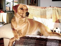 /album/galeria-de-fotos/dsc01835-jpg1/