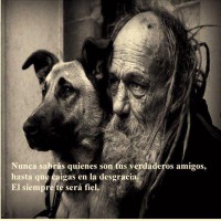 /album/galeria-de-fotos/caovelho-jpeg1/