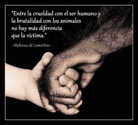 /album/galeria-de-fotos/vitima-jpeg1/