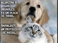 /album/galeria-de-fotos/respeito-jpeg1/