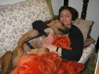 /album/galeria-de-fotos/amoroso-jpg1/