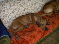 /album/galeria-de-fotos/conquistadosofa-jpg/