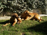 /album/galeria-de-fotos/expectativa-jpg/