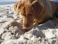 /album/galeria-de-fotos/imgp1589-jpg/