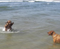 /album/galeria-de-fotos/leomar3-jpg/