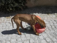 /album/galeria-de-fotos/musdeleo-jpg/