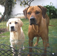 /album/galeria-de-fotos/par-jpg/