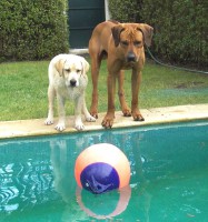 /album/galeria-de-fotos/parboia-jpg1/