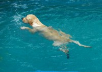 /album/galeria-de-fotos/patotica2-jpg/