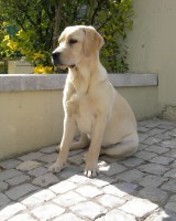 /album/galeria-de-fotos/personagem-jpg/