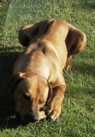 /album/galeria-de-fotos/leo165-jpg/