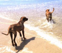 /album/galeria-de-fotos/mar-jpg/