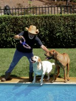 /album/galeria-de-fotos/p1030646-jpg/