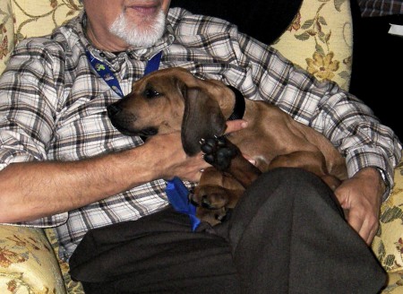 O Rock do do pequeno Leão (então com 2 Meses)